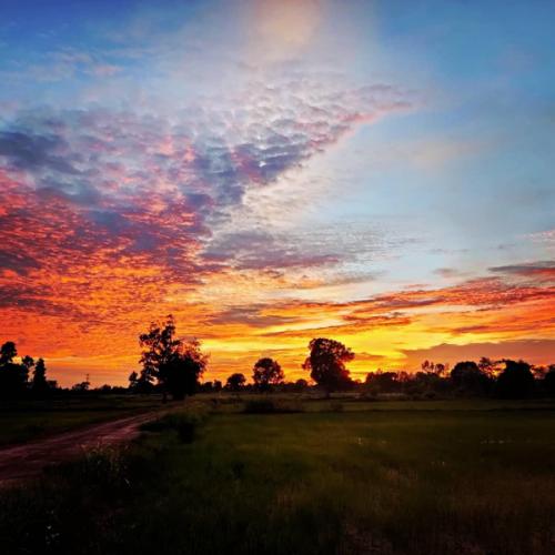 สมาชิกหมายเลข 4453054