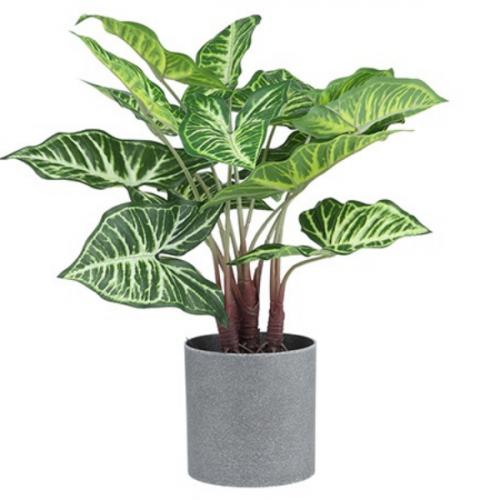 สมาชิกหมายเลข 1984247