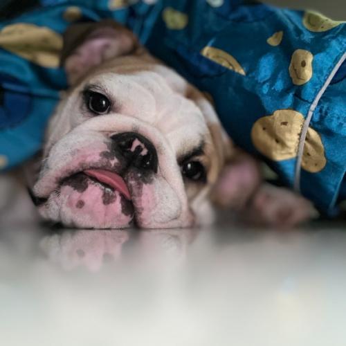 สมาชิกหมายเลข 6869723