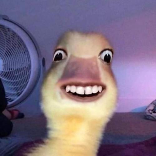 สมาชิกหมายเลข 7634837