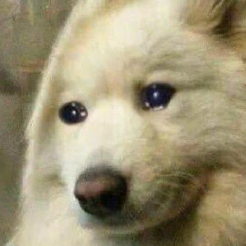 สมาชิกหมายเลข 7635240