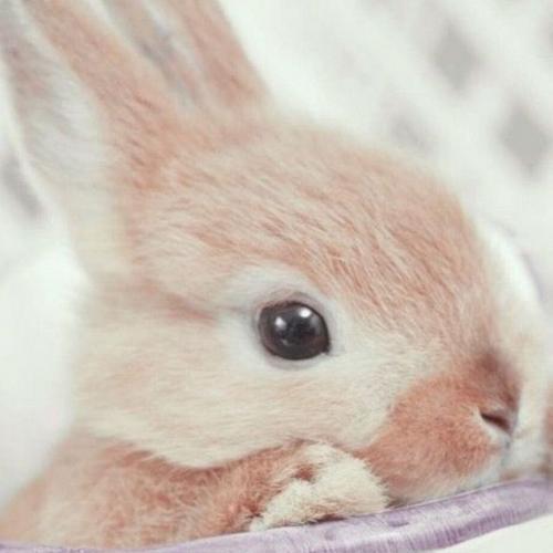 สมาชิกหมายเลข 4281532