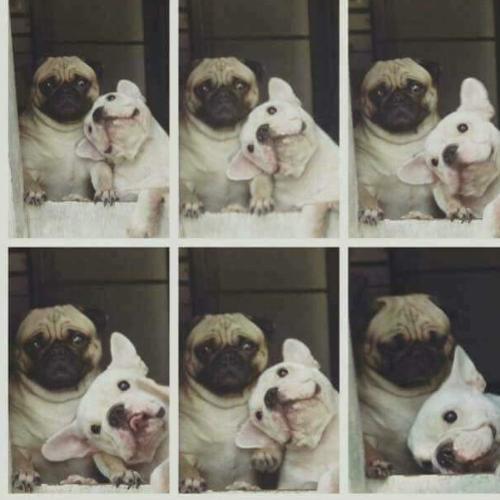 สมาชิกหมายเลข 4837385