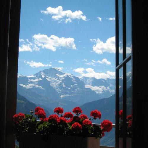 สมาชิกหมายเลข 3258570