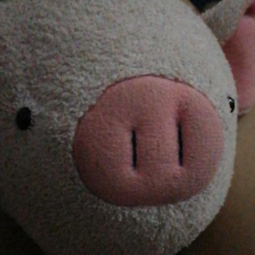 สมาชิกหมายเลข 4021831