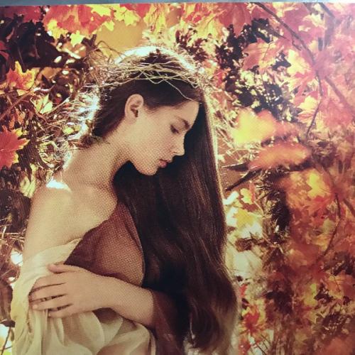 สมาชิกหมายเลข 5648669