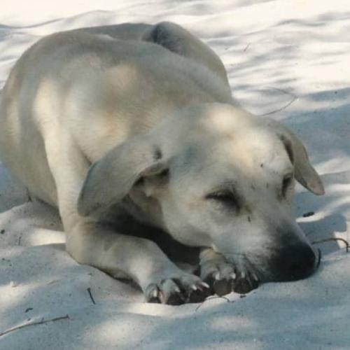 สมาชิกหมายเลข 3154182