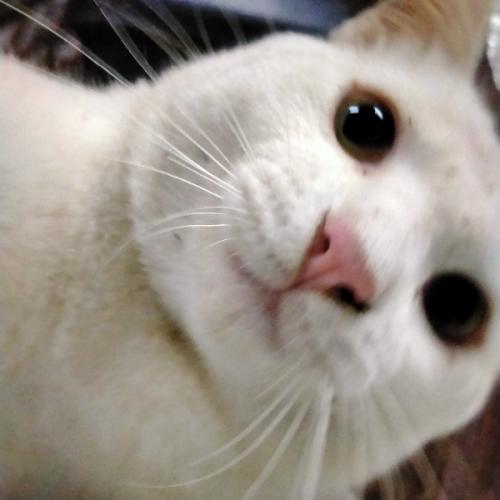 เหล้าเรื่องราวไว้ในทรงจำ