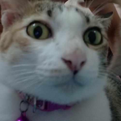 สมาชิกหมายเลข 5898682