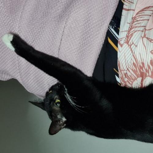 สมาชิกหมายเลข 6870241