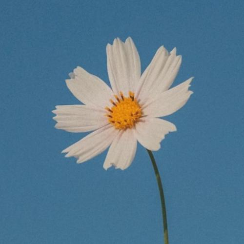 สมาชิกหมายเลข 3724331