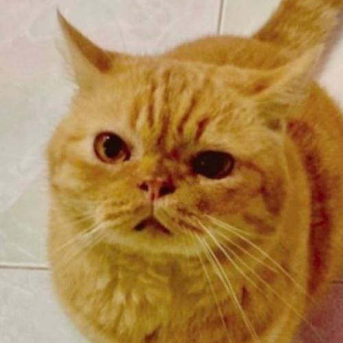 สมาชิกหมายเลข 5072992