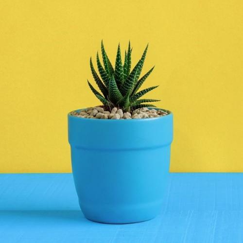 สมาชิกหมายเลข 924471