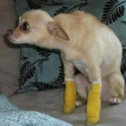 สมาชิกหมายเลข 7798060