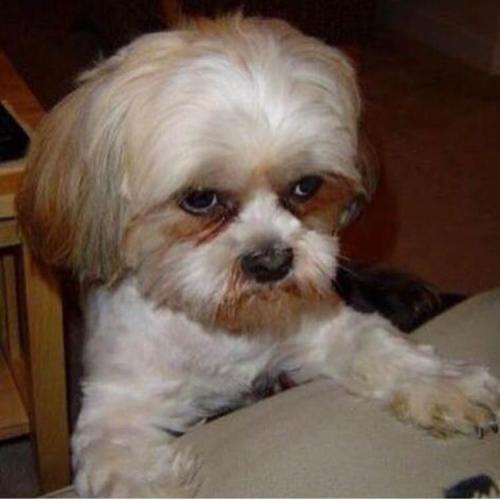 สมาชิกหมายเลข 1363343