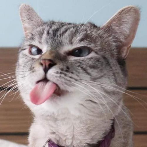 สมาชิกหมายเลข 3597215