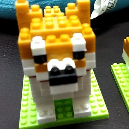 สมาชิกหมายเลข 5212900