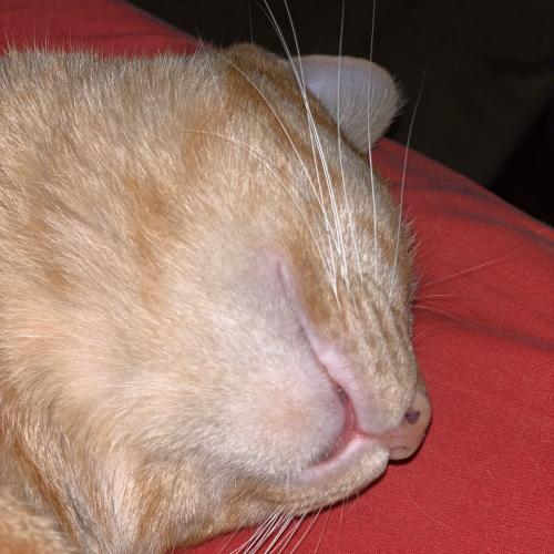 สมาชิกหมายเลข 2221451