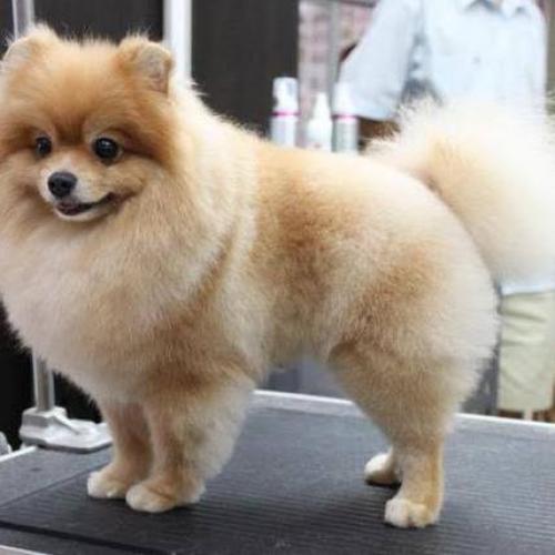 สมาชิกหมายเลข 5621605