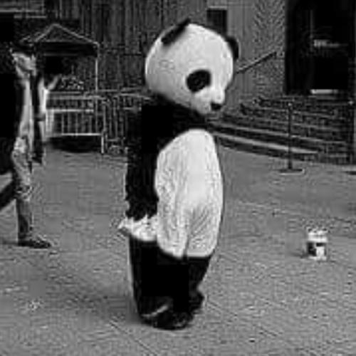 สมาชิกหมายเลข 5649268