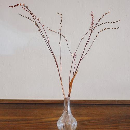 สมาชิกหมายเลข 2062713