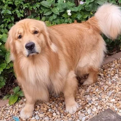 สมาชิกหมายเลข 3548484