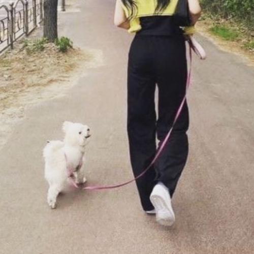 สมาชิกหมายเลข 7623183