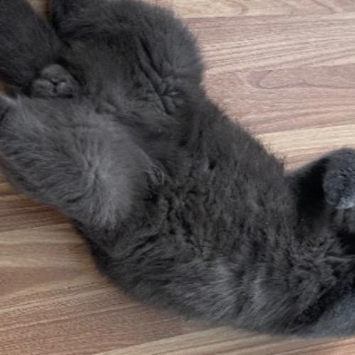 สมาชิกหมายเลข 7636957