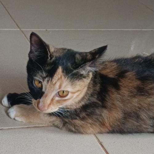 สมาชิกหมายเลข 7144225