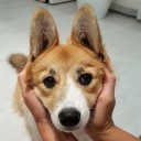 สมาชิกหมายเลข 3825809