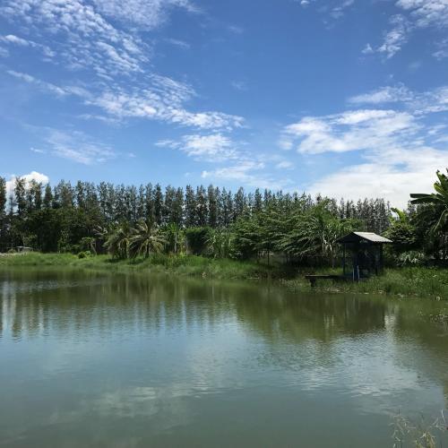 สมาชิกหมายเลข 2098834