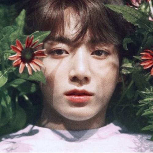 สมาชิกหมายเลข 4505196