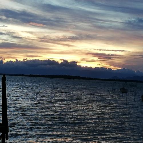 สมาชิกหมายเลข 4839036