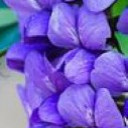 สมาชิกหมายเลข 4839167