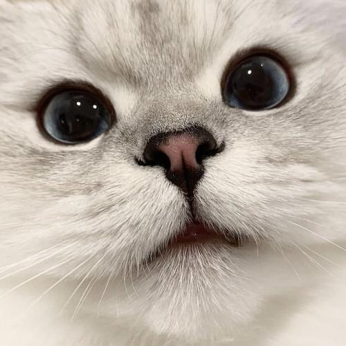 สมาชิกหมายเลข 5226182