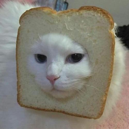 สมาชิกหมายเลข 6195968