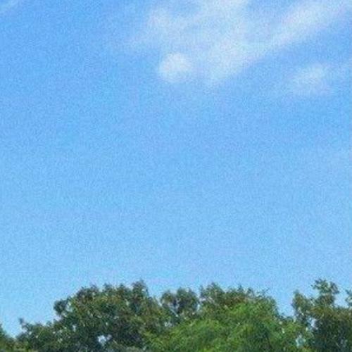 สมาชิกหมายเลข 6872008