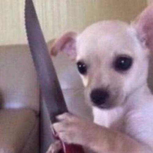 สมาชิกหมายเลข 4839705