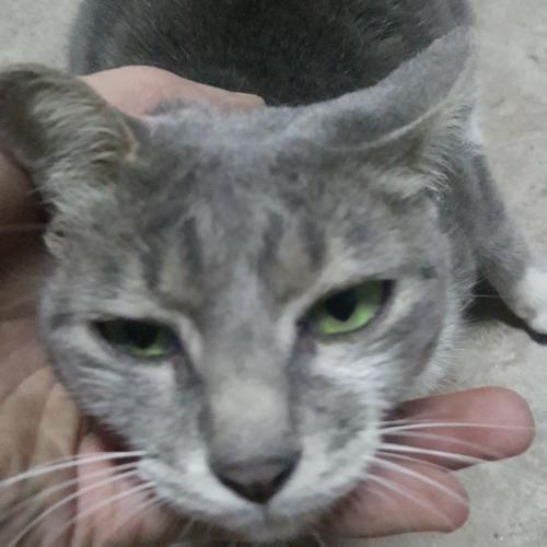 สมาชิกหมายเลข 5149288