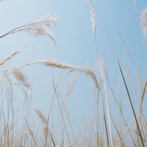 สมาชิกหมายเลข 5025627