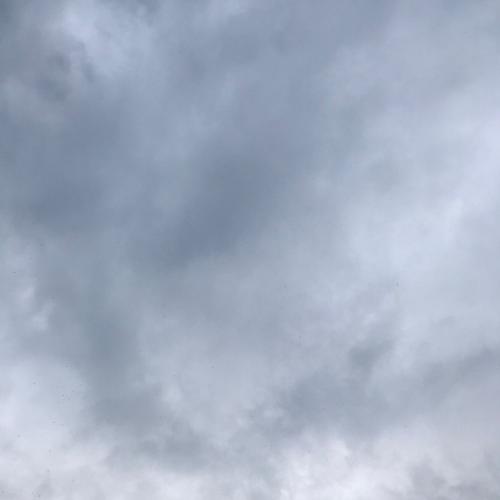 สมาชิกหมายเลข 5650109