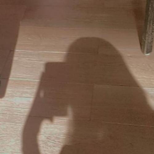 สมาชิกหมายเลข 5867769