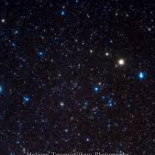 สมาชิกหมายเลข 6222029