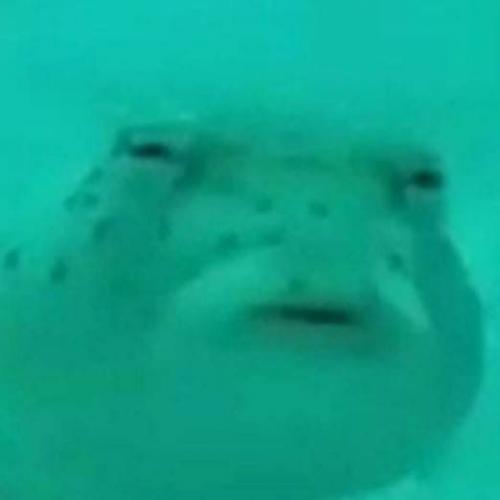 สมาชิกหมายเลข 6872798