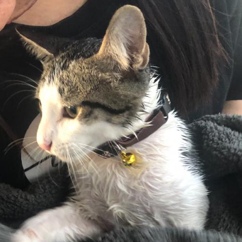 สมาชิกหมายเลข 3303360