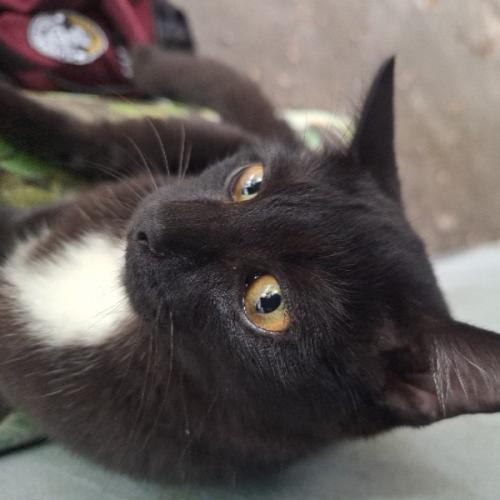 สมาชิกหมายเลข 5659366