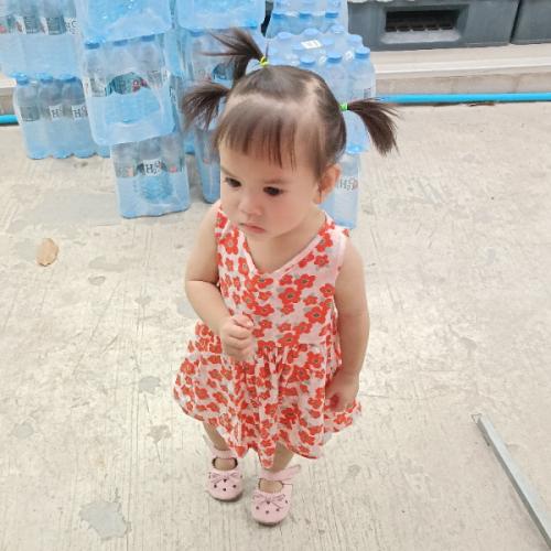 สมาชิกหมายเลข 6105095