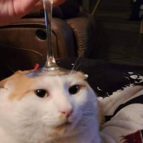 สมาชิกหมายเลข 8446866