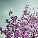 สมาชิกหมายเลข 1405555