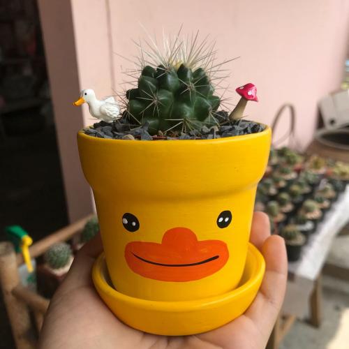 สมาชิกหมายเลข 4618768